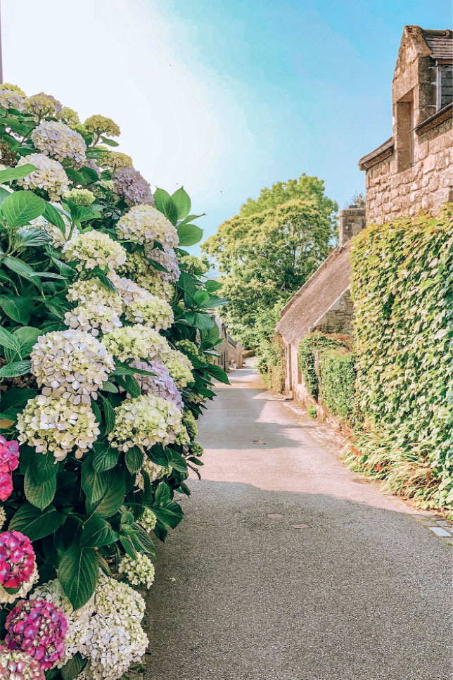 Иллюстрация к книге — Франция изнутри. Как на самом деле живут в стране изысканной кухни и высокой моды? [i_006.jpg]