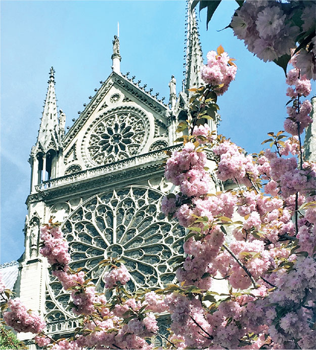 Иллюстрация к книге — Франция изнутри. Как на самом деле живут в стране изысканной кухни и высокой моды? [i_024.jpg]