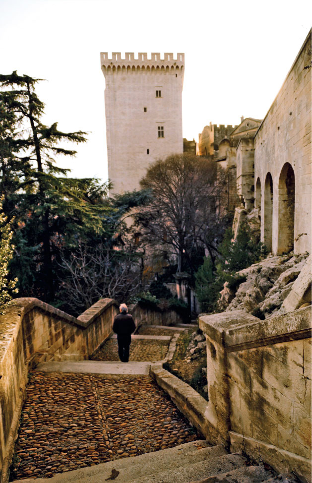 Иллюстрация к книге — Франция изнутри. Как на самом деле живут в стране изысканной кухни и высокой моды? [i_035.jpg]