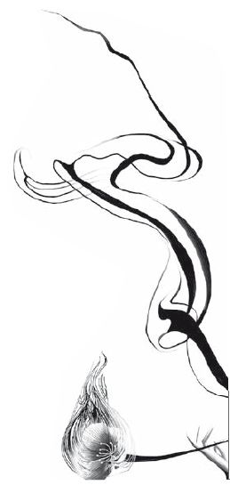 Иллюстрация к книге — Герой: эволюция, или Как мы стали теми, кто мы есть [i_003.jpg]