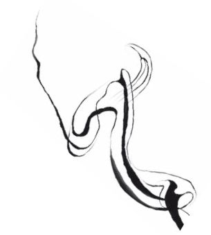 Иллюстрация к книге — Герой: эволюция, или Как мы стали теми, кто мы есть [i_005.jpg]