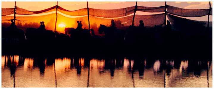 Иллюстрация к книге — Властелины кино. Инсайдерский рассказ о том, как снимаются великие фильмы [i_074.jpg]