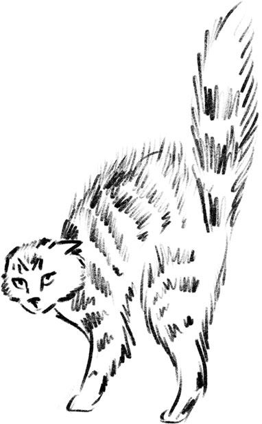 Иллюстрация к книге — ПроЖИВАЯ. Как оставаться счастливым, проживая самые сложные моменты жизни [i_011.jpg]