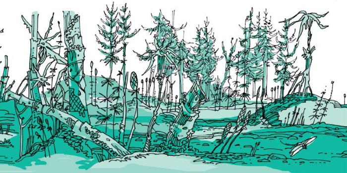 Иллюстрация к книге — 290 миллионов лет назад и далее [i_005.jpg]