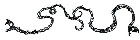 Иллюстрация к книге — Ая и ведьма [i_018.jpg]