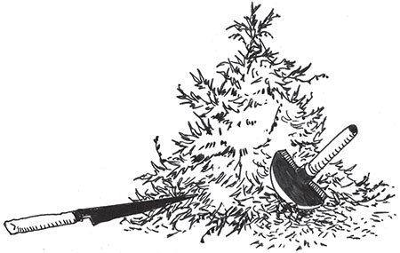 Иллюстрация к книге — Ая и ведьма [i_030.jpg]