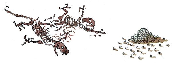 Иллюстрация к книге — Ая и ведьма [i_038.jpg]