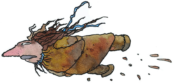 Иллюстрация к книге — Ая и ведьма [i_065.jpg]