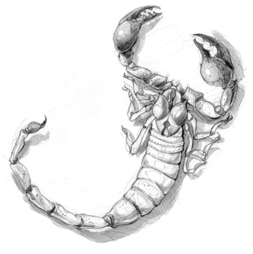 Иллюстрация к книге — Заклятие скорпиона [i_022.jpg]