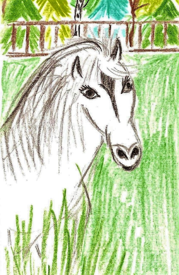 Иллюстрация к книге — Лето на полке [_32.jpg]