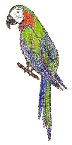 Иллюстрация к книге — Лето на полке [_42.jpg]