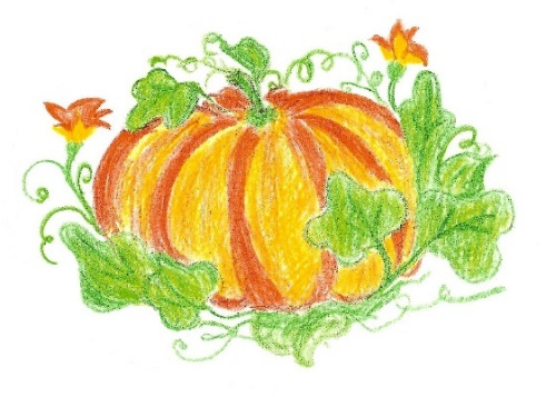 Иллюстрация к книге — Лето на полке [_51.jpg]