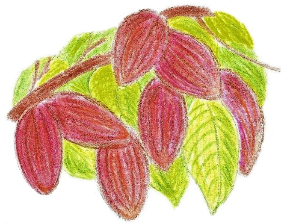 Иллюстрация к книге — Лето на полке [_69.jpg]