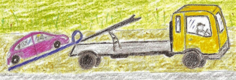 Иллюстрация к книге — Лето на полке [_79.jpg]