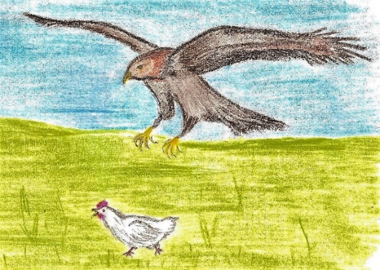 Иллюстрация к книге — Лето на полке [_83.jpg]