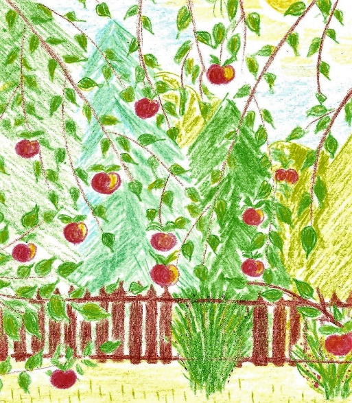 Иллюстрация к книге — Лето на полке [_84.jpg]