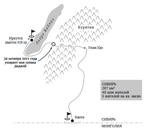 Иллюстрация к книге — Свободная. Там, где нет опасности, нет приключений [i_008.jpg]