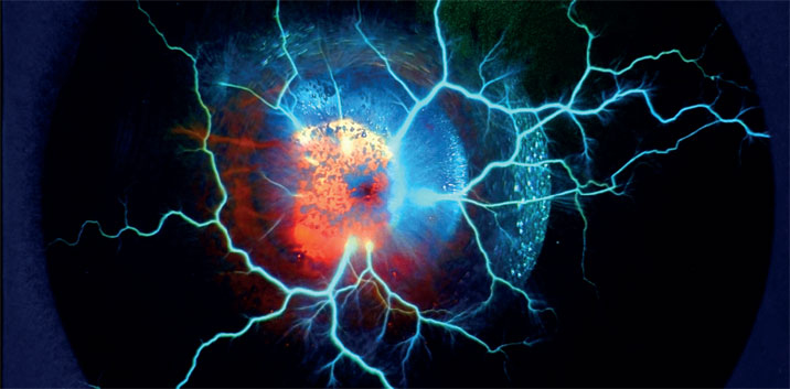 Иллюстрация к книге — Реаниматор культового кино [i_044.jpg]