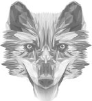 Иллюстрация к книге — Сердце Хищника [i_001.jpg]