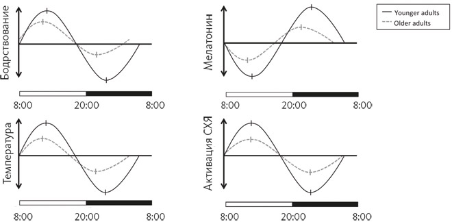Иллюстрация к книге — Счастливое старение. Рекомендации нейробиолога о том, как жить долго и хорошо [i_022.jpg]