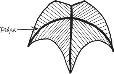 Иллюстрация к книге — Built. Неизвестные истории известных зданий [i_075.jpg]