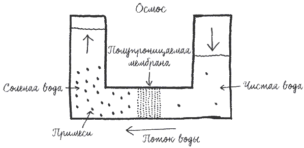 Иллюстрация к книге — Built. Неизвестные истории известных зданий [i_076.jpg]