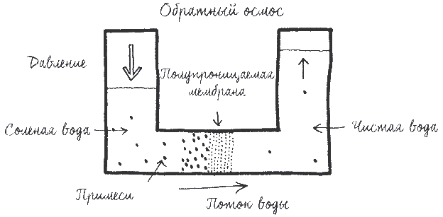 Иллюстрация к книге — Built. Неизвестные истории известных зданий [i_077.jpg]