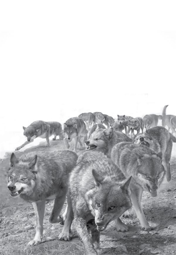 Иллюстрация к книге — Ведьма. Эпизод 1 [i_011.jpg]