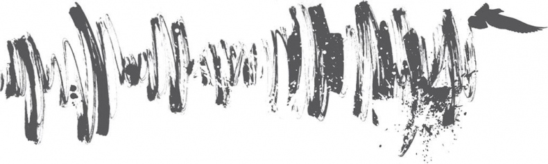 Иллюстрация к книге — Двойные мосты Венисаны [i_013.jpg]