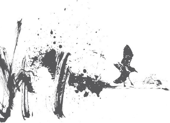 Иллюстрация к книге — Двойные мосты Венисаны [i_021.jpg]