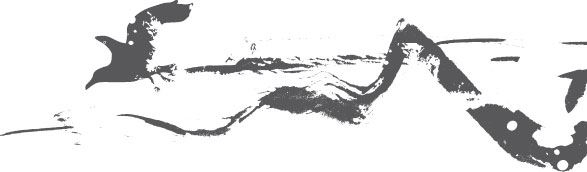 Иллюстрация к книге — Двойные мосты Венисаны [i_023.jpg]