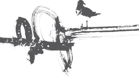 Иллюстрация к книге — Двойные мосты Венисаны [i_024.jpg]