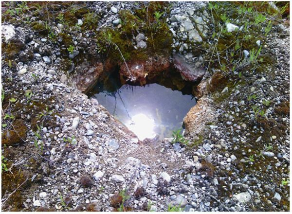 Иллюстрация к книге — Город Бонивур. Последняя великая стройка СССР [i_194.jpg]