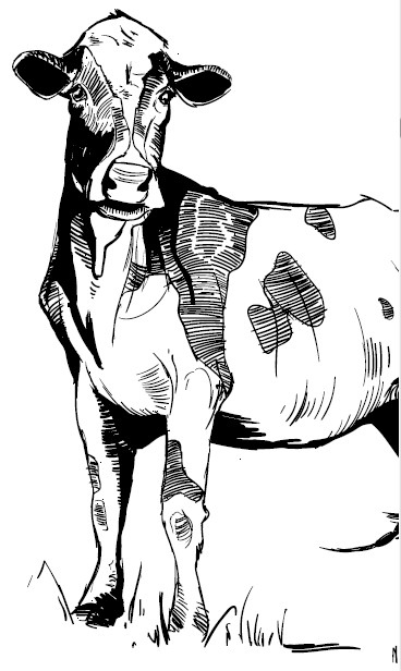 Иллюстрация к книге — Секретная жизнь коров. Истории о животных, которые не так глупы, как нам кажется [i_009.jpg]