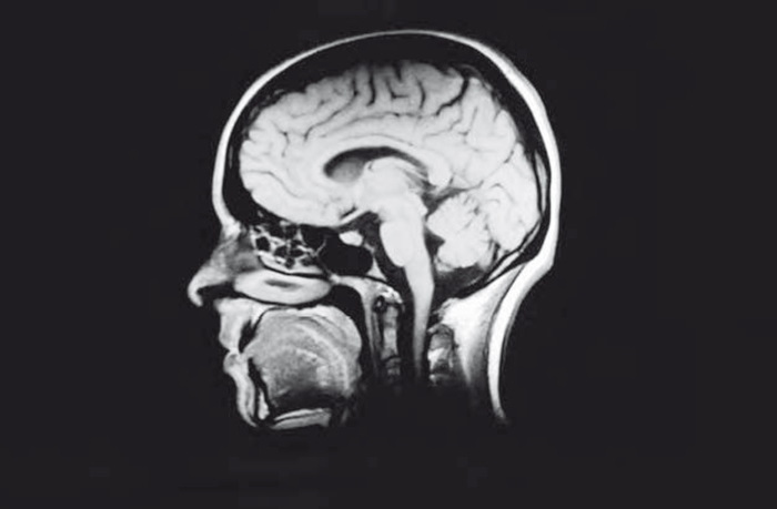 Иллюстрация к книге — Сознание за пределами жизни. Наука о жизни после смерти [i_019.jpg]