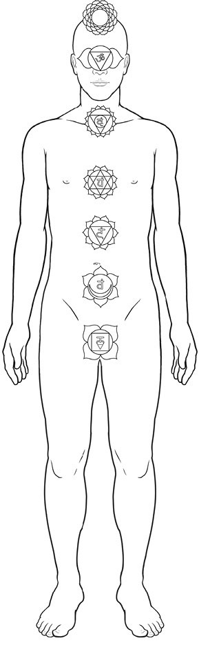 Иллюстрация к книге — Тело исцеляет само себя. Глубокое изучение работы мышц и их связи с эмоциями [i_006.jpg]