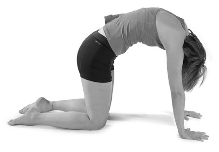 Иллюстрация к книге — Тело исцеляет само себя. Глубокое изучение работы мышц и их связи с эмоциями [i_020.jpg]