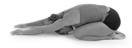 Иллюстрация к книге — Тело исцеляет само себя. Глубокое изучение работы мышц и их связи с эмоциями [i_023.jpg]