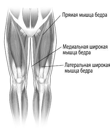 Иллюстрация к книге — Тело исцеляет само себя. Глубокое изучение работы мышц и их связи с эмоциями [i_032.jpg]
