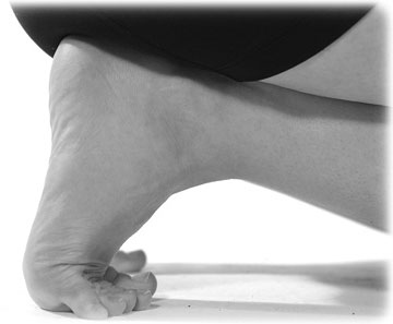 Иллюстрация к книге — Тело исцеляет само себя. Глубокое изучение работы мышц и их связи с эмоциями [i_063.jpg]