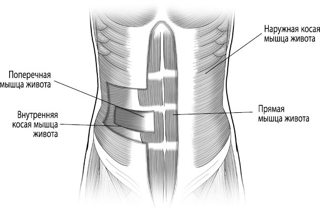 Иллюстрация к книге — Тело исцеляет само себя. Глубокое изучение работы мышц и их связи с эмоциями [i_067.jpg]