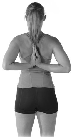 Иллюстрация к книге — Тело исцеляет само себя. Глубокое изучение работы мышц и их связи с эмоциями [i_101.jpg]