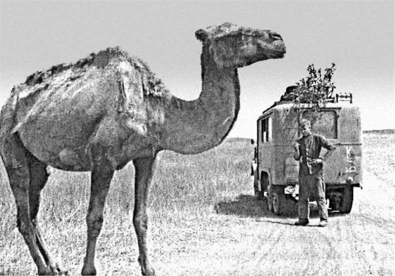 Иллюстрация к книге — Мобилизованная нация. Германия 1939–1945 [i_033.jpg]