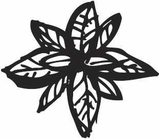 Иллюстрация к книге — Живая косметика [_100.jpg]