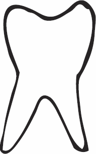 Иллюстрация к книге — Живая косметика [_104.jpg]