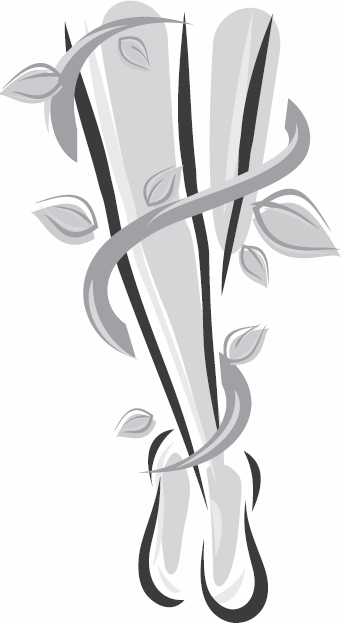 Иллюстрация к книге — Живая косметика [_117.jpg]