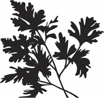 Иллюстрация к книге — Живая косметика [_12.jpg]