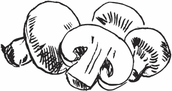 Иллюстрация к книге — Живая косметика [_139.jpg]