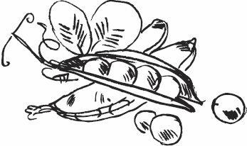 Иллюстрация к книге — Живая косметика [_144.jpg]