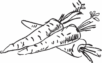 Иллюстрация к книге — Живая косметика [_146.jpg]